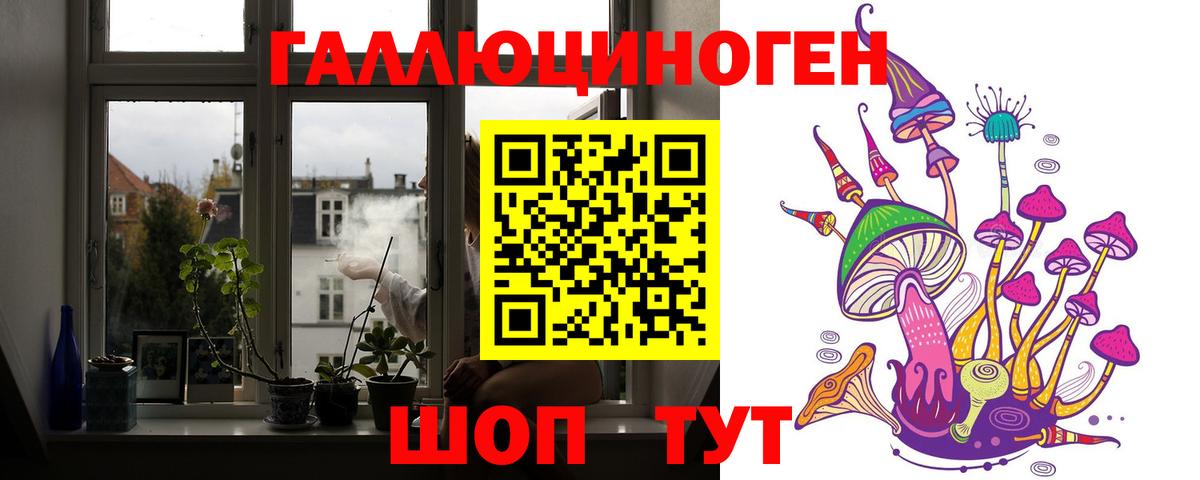 Псилоцибиновые грибы GOLDEN TEACHER Пятигорск