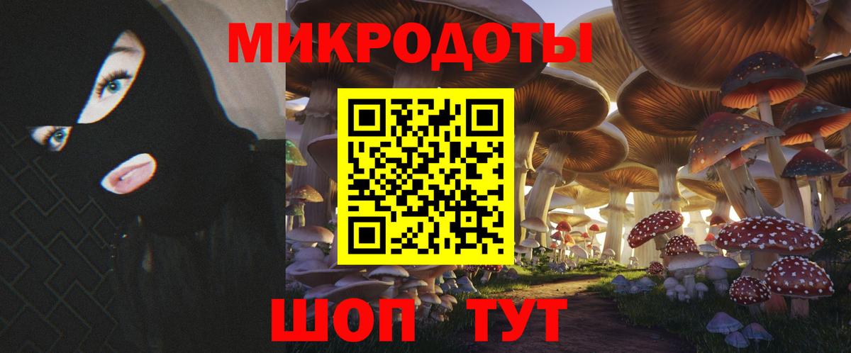 Пятигорск  Галлюциногенные грибы прущие грибы  Вход с VPN  Псилоцибиновые грибы мицелий 